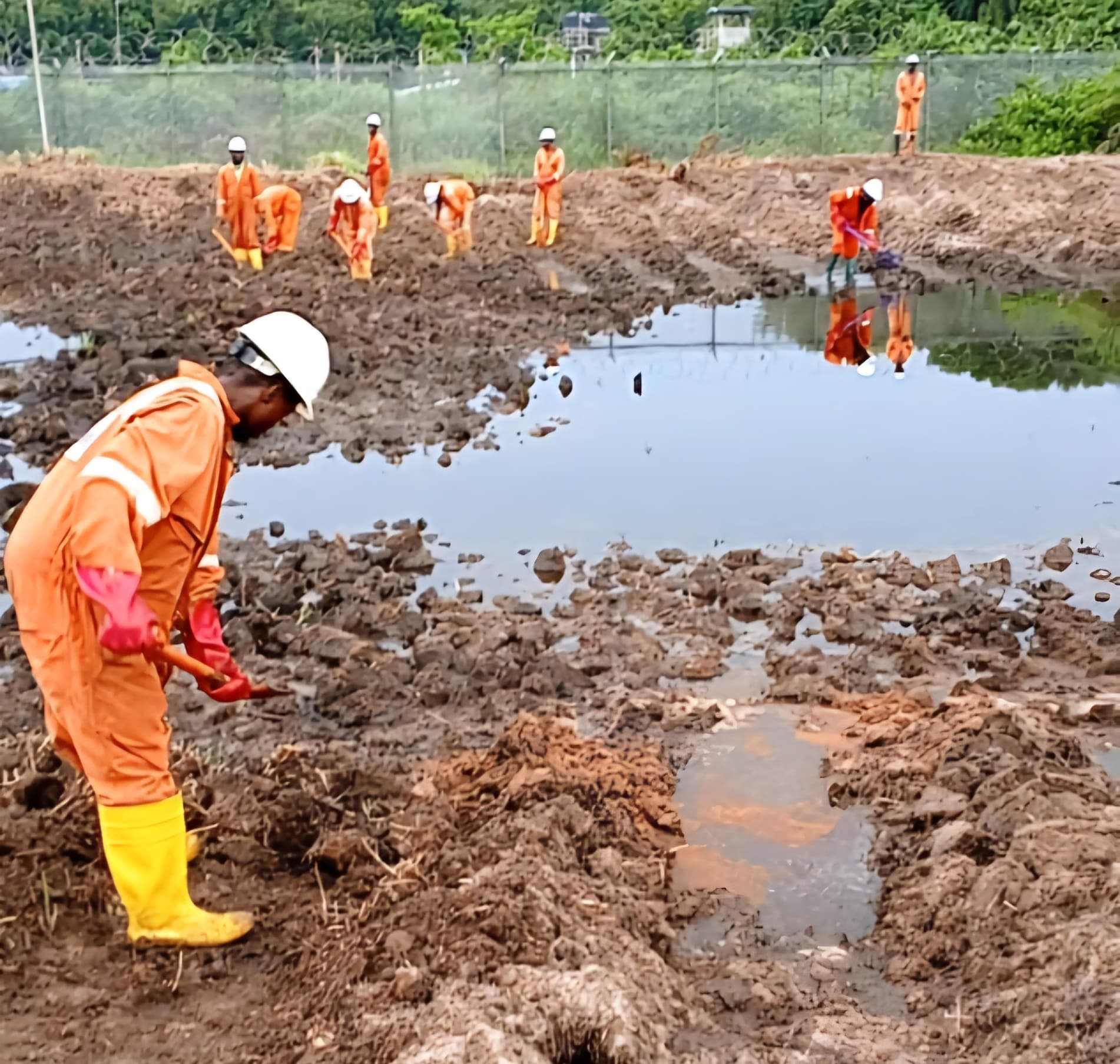 Environmental Remediation
