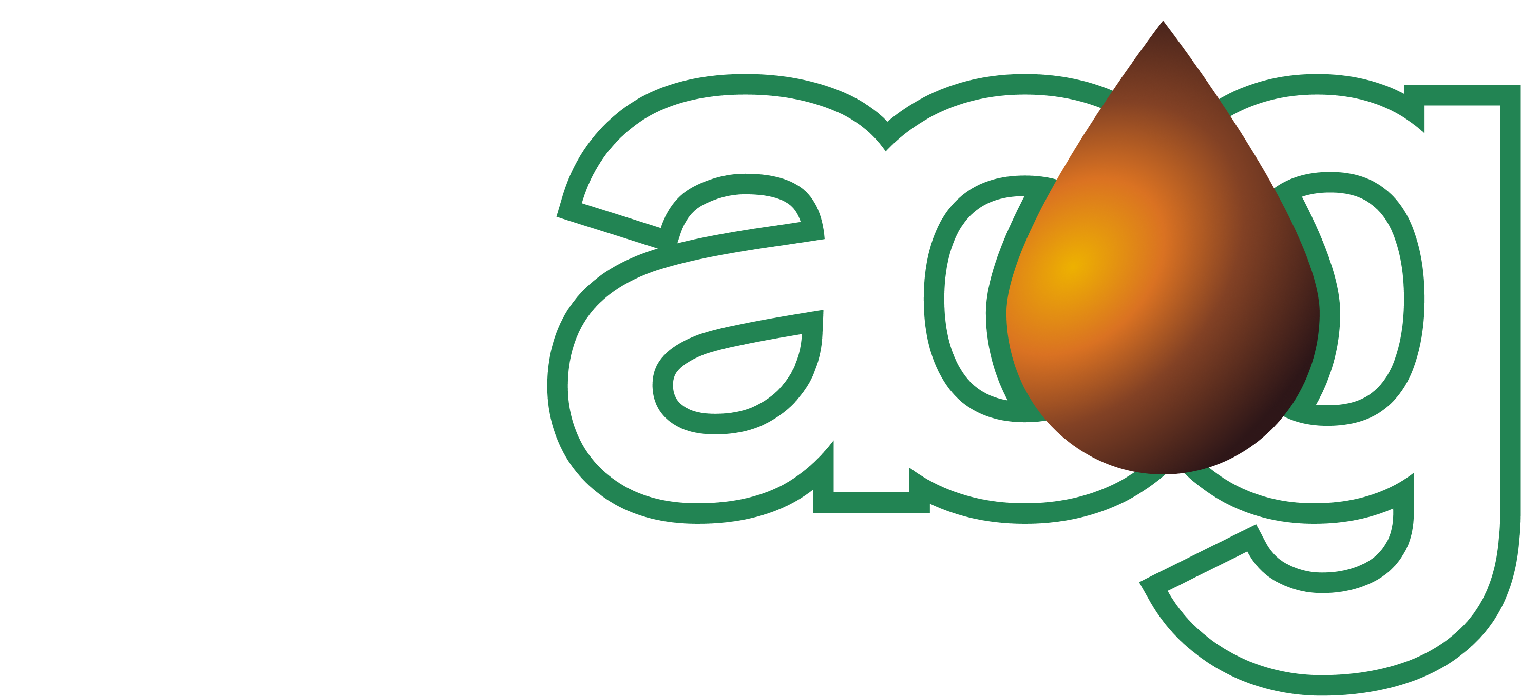 Light Logo