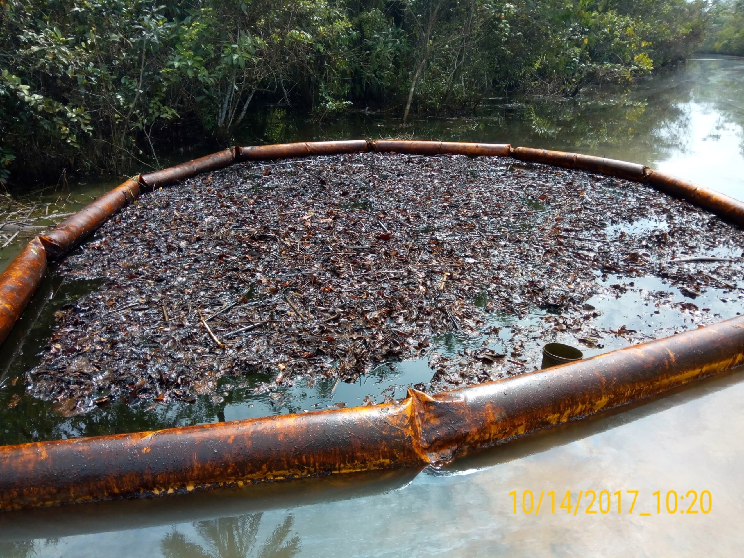 Advanced Waste Management Systems